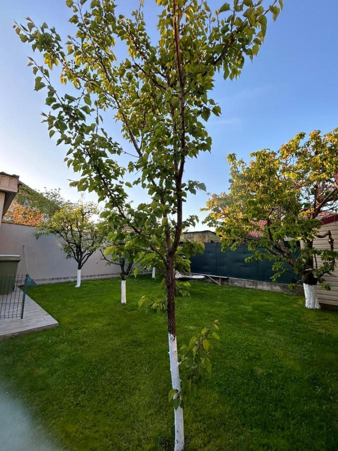 Casa Verde Constanta Bagian luar foto